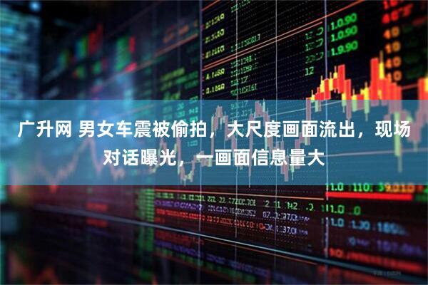 广升网 男女车震被偷拍，大尺度画面流出，现场对话曝光，一画面信息量大