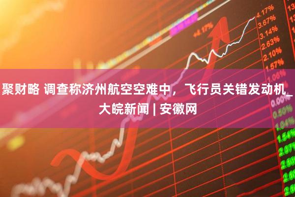聚财略 调查称济州航空空难中，飞行员关错发动机_大皖新闻 | 安徽网