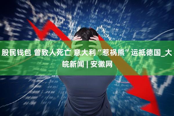股民钱包 曾致人死亡 意大利“惹祸熊”运抵德国_大皖新闻 | 安徽网