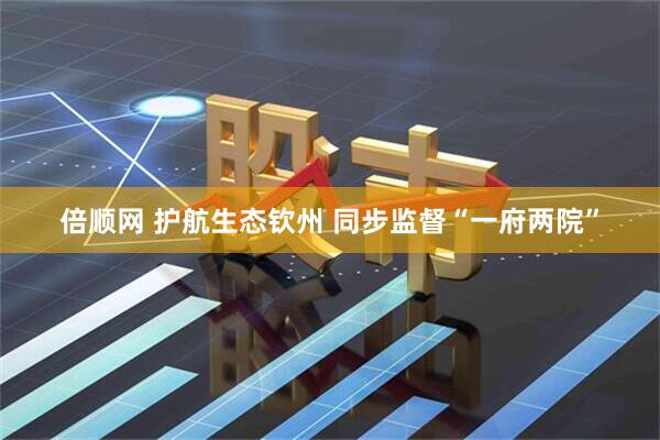 倍顺网 护航生态钦州 同步监督“一府两院”