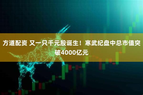 方道配资 又一只千元股诞生！寒武纪盘中总市值突破4000亿元