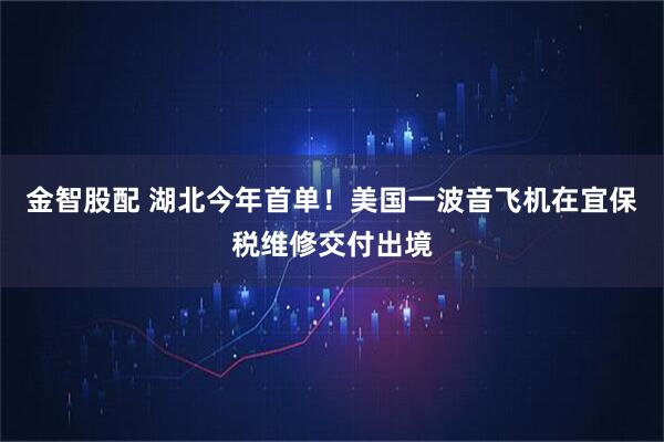 金智股配 湖北今年首单！美国一波音飞机在宜保税维修交付出境