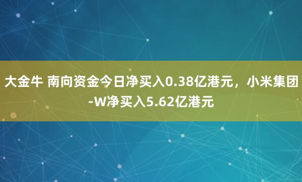 大金牛 南向资金今日净买入0.38亿港元，小米集团-W净买入5.62亿港元