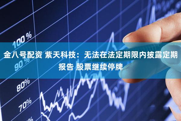 金八号配资 紫天科技：无法在法定期限内披露定期报告 股票继续停牌