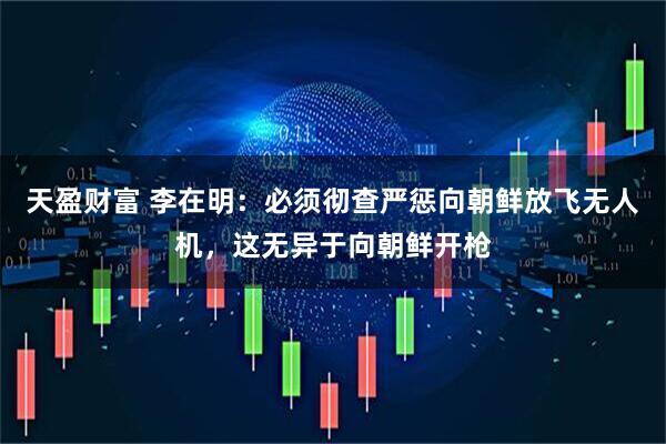 天盈财富 李在明：必须彻查严惩向朝鲜放飞无人机，这无异于向朝鲜开枪