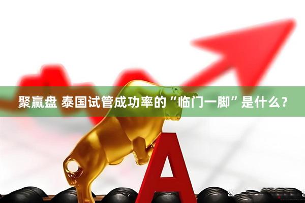 聚赢盘 泰国试管成功率的“临门一脚”是什么？