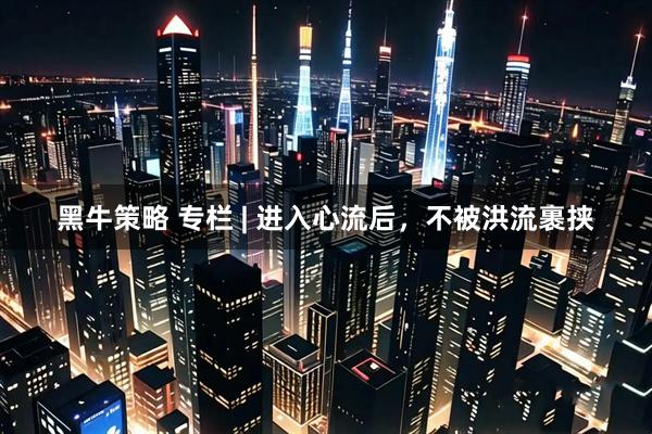 黑牛策略 专栏 | 进入心流后,不被洪流裹挟
